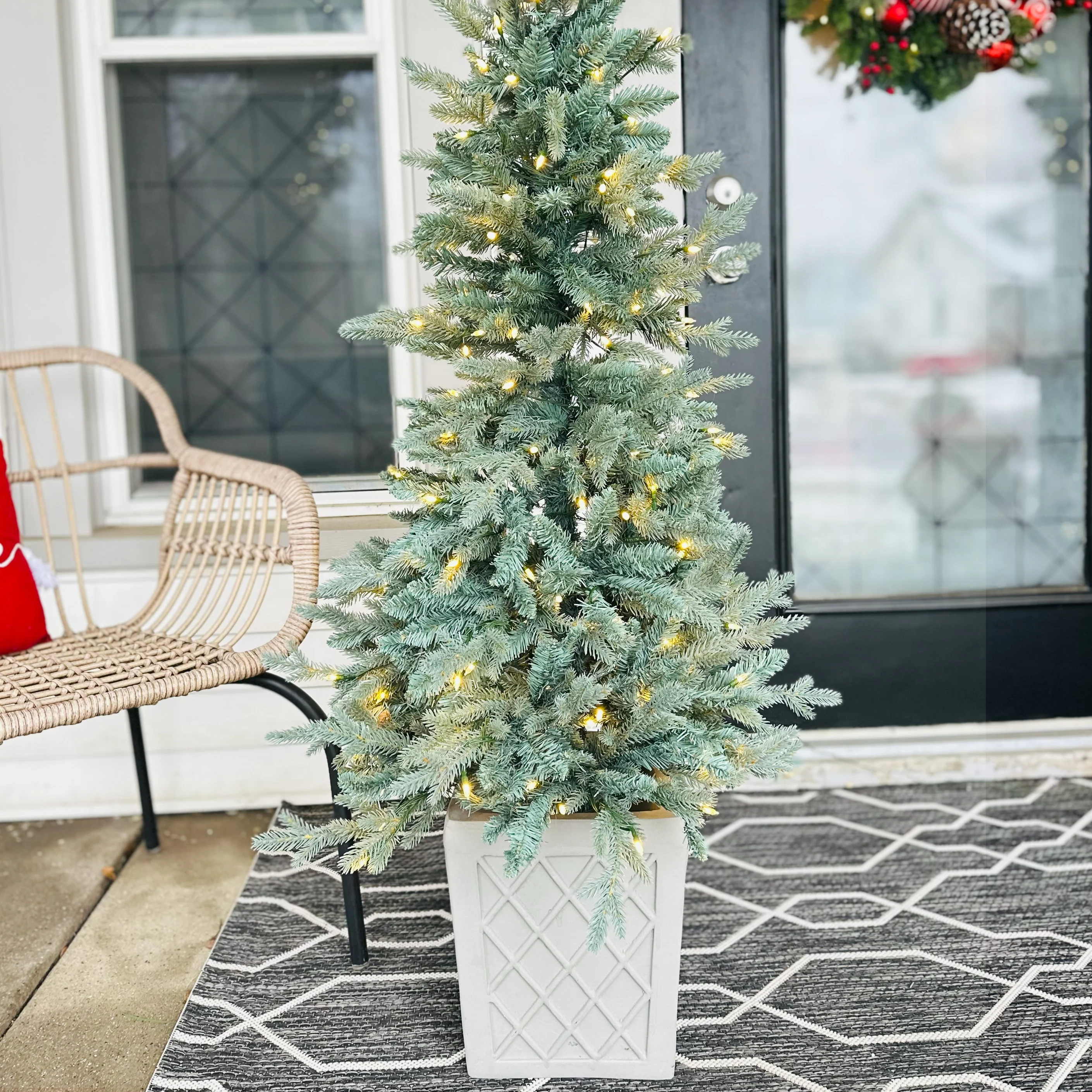 4.5 Foot Barcelona Blue Spruce Potted Tree - Image 8