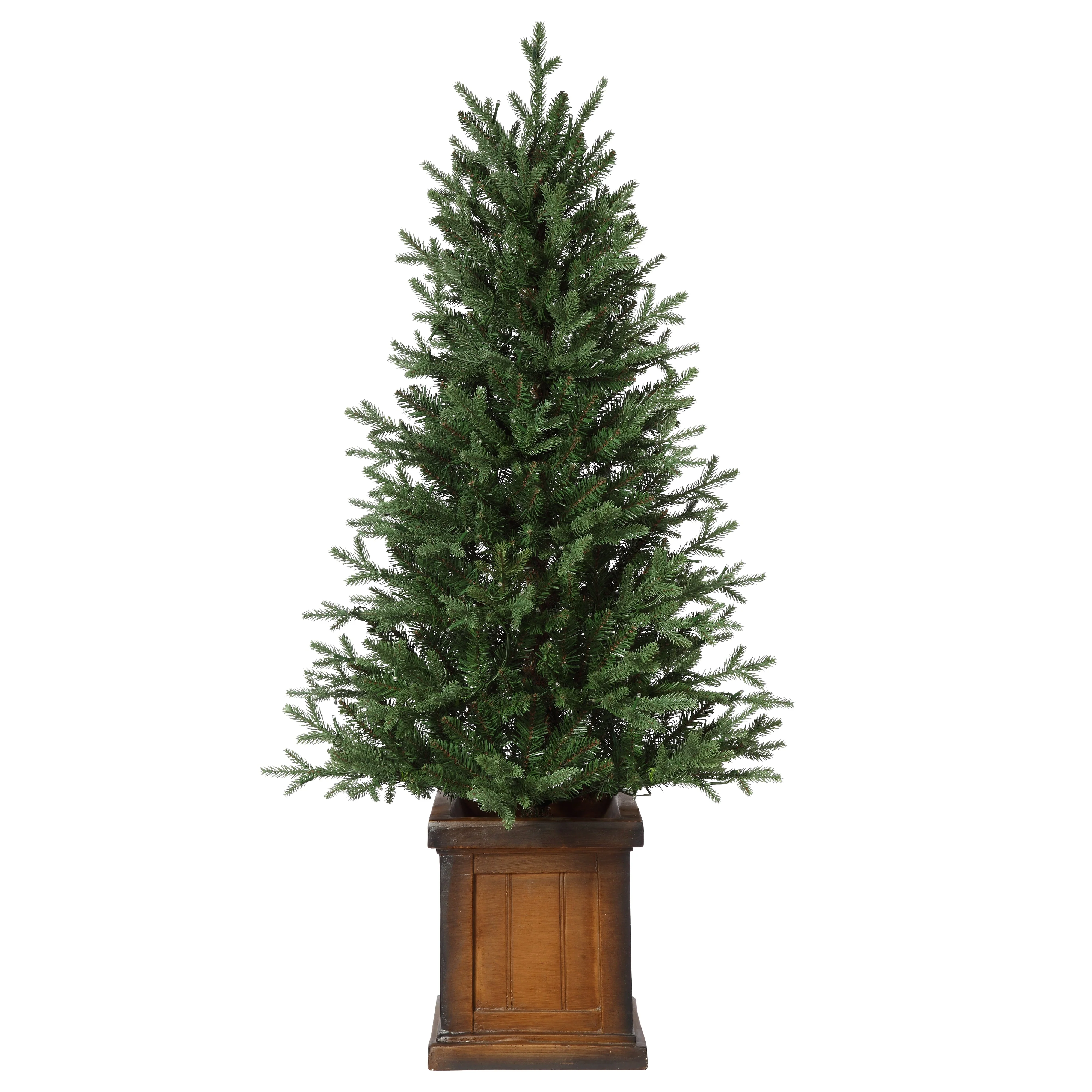 4.5 Foot New Haven Fraser Fir Potted Tree - Image 3