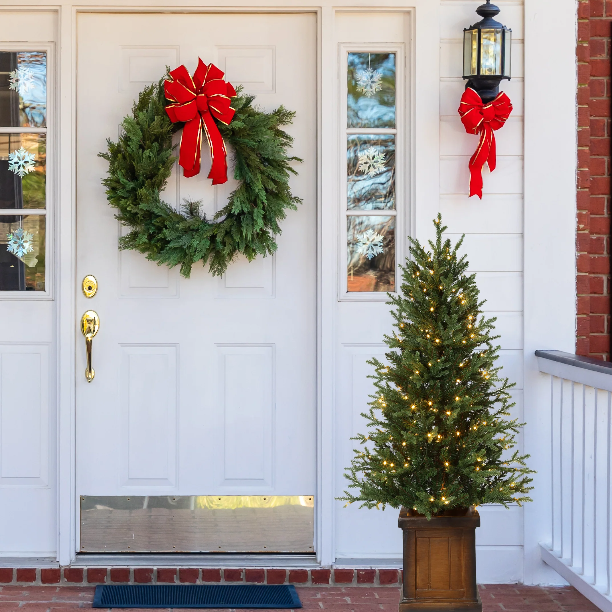 4.5 Foot New Haven Fraser Fir Potted Tree - Image 5