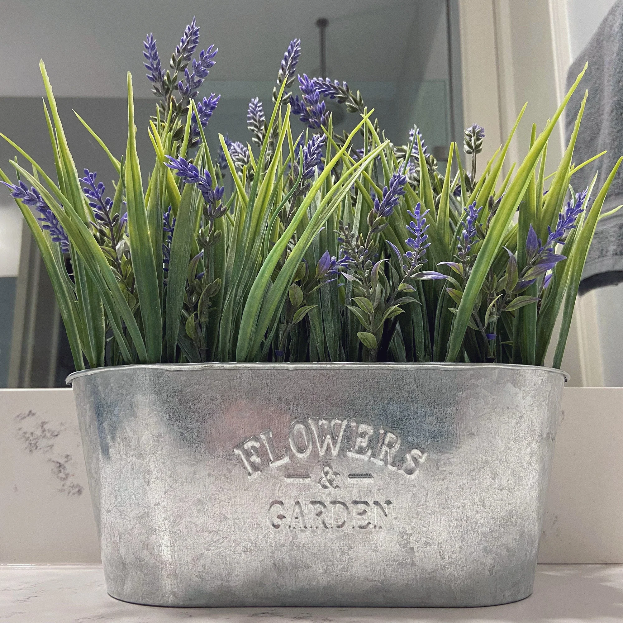 10 Inch Lavender in Galvanized Metal Pot - Image 5
